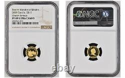 10 Dollars 2009 Cook Islands Twelve Wonders Of Ukraine Gold Proof Ngc69 Set Rare