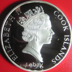 1996 Cook Islands $25 Grizzly Bear 5 Oz Silver Proof Colored Yellowstone Park Rr