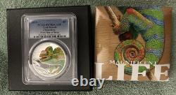2020 Magnificent Life Chameleon 1oz Silver PCGS PR70 DCAM Box&COA, Cook Islands