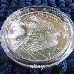2021 CIT Cook Islands Morgan & Peace 1oz Silver Gilded Proof Coin GR Reserve LTD