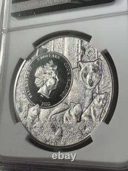 2022 Cook Islands $5 Minnesota Common Loon Silver Coin Graded MS 70 by NGC