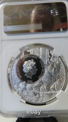 2022 Cook Islands New Hampshire Red Spotted Newt NGC MS70 US State Animal Series