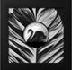 2023 Cook Islands Black Swan 2 oz Black Proof Silver Coin 30254