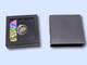 2023 Cook Islands CHAMELEON Eclectic Nature 1 Oz Silver Coin $5