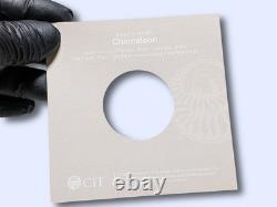 2023 Cook Islands CHAMELEON Eclectic Nature 1 Oz Silver Coin $5