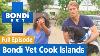 Bondi Vet Visits The Cook Islands Full Episode S07e08 Bondi Vet