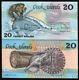 Cook Islands 20 Dollars P5a1987 Shark Shell Turtle Drum Unc Tone Money Bank Note