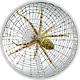 Cook Islands 2016 $5 Magnificent Life Spider 1 Oz Silver Coin PRESALE