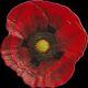 Cook Islands 2017 Remembrance Poppy 3D Silver Coin