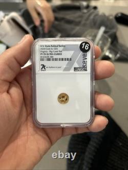 Cook Islands 2022 Virginia Big-Eared Bat Gold Proof Coin NGC PF 70 Ultra Cameo