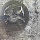 Cook Islands 2024 5 Dollars Silver Coin 0.9999 Fineness Charles III