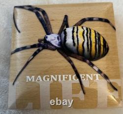 Cook Islands 5 Dollars 2016 Silver Proof 1oz Silver Magnificent Life Wasp Spider
