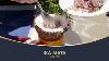 Cook Islands Ika Mata Raw Fish