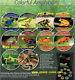 FROGS, Colorful Amphibians, Cook Islands, 10 piece set with box & COA