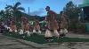 Festpac 2016 Cook Islands Box Dance