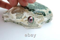 GORGEOUS AA+ MANIHIKI COOK ISLANDS 11x10.3mm BLACK CHERRY PEACOCK CULTURED PEARL