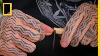 Learning The Art Of Traditional Tattooing On The Cook Islands Short Film Showcase
