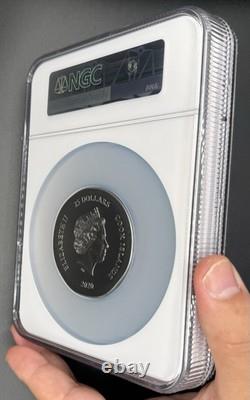 MAKE OFFER? Cook Islands 2020 $25 Tortoise UHR Antiqued 5oz. 9999 Silver MS70