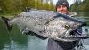Most Expensive Salmon In World Catch Clean Cook Chinook
