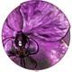 Orchid 1 oz silver coin Cook Islands 2026