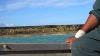Pacc Cook Islands Vital Harbour