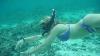 Scuba Diver Girls Snorkel The Cook Islands