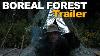 Survivorman Boreal Forest Season 1 Episode 1 Les Stroud