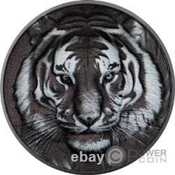 TIGER Black and White 1 Oz Silver Coin 5$ Cook Islands 2025