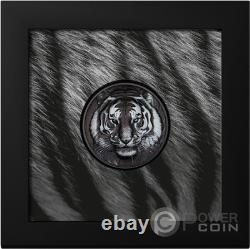 TIGER Black and White 1 Oz Silver Coin 5$ Cook Islands 2025