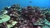 The Cook Islands Ocean Wealth