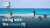 Treasure Islands In The Pacific From Hawaii To The Cook Islands 1 2 Dw Documentary