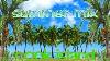 Tropical Summer MIX Cook Island MIX Tape Dj Ez Dj Giddy